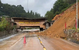 Bão số 11 (Matmo)