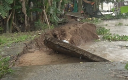 Cù lao Ông Hổ sạt lở nghiêm trọng, ‘nuốt’ cả con đường nông thôn