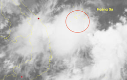 Xuất hiện vùng áp thấp ở Biển Đông, miền Trung tiếp tục mưa lớn
