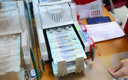 Lộ diện top doanh nghiệp Việt gây 'choáng' khi lãi tăng vọt tới hàng nghìn phần trăm