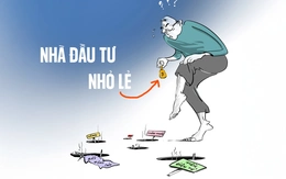 Chân dung nhà đầu tư nhỏ lẻ: Mong manh dễ vỡ
