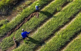 Góp ý các văn kiện Đại hội XIV của Đảng