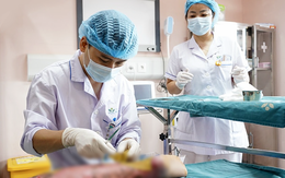 Tự làm thí nghiệm đốt cồn tại nhà, bé trai 12 tuổi bỏng nặng