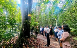 Khai mở tiềm năng để Hồ Tràm vươn tầm quốc tế