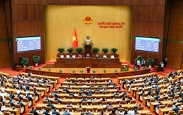 Kỳ họp thứ 10 Quốc hội khóa XV