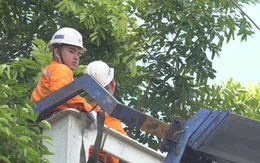 EVNHCMC tăng cường an toàn điện và chủ động ứng phó mưa bão