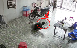 Thanh niên té sấp mặt vẫn cố giữ chuồng chim