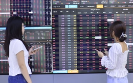 Margin nhạy cảm nhất kể từ 2022, chứng khoán cần quay trở lại với câu chuyện cơ bản