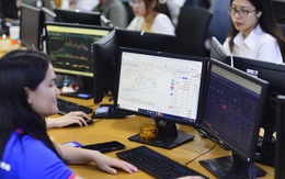 Chứng khoán bất ngờ tăng mạnh, cổ phiếu xanh tím phủ khắp bảng điện