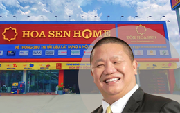 Chi 1.000 tỉ đồng lập Hoa Sen Home, đại gia Lê Phước Vũ tham vọng IPO 'át chủ bài'