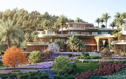 Hành trình tái tạo giữa miền thiên nhiên 100 niên tuổi