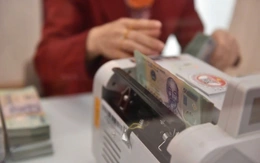 Doanh nghiệp dệt may với hàng không 'mạnh tay' chi cổ tức trăm tỉ, cao nhất lên tới 130%