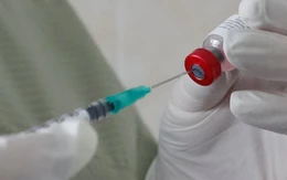 Vi rút bại liệt hoang dại tái xuất ở châu Âu sau 15 năm, WHO báo động