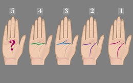 Quiz: Bạn cởi mở, nhân hậu hay là người thông minh