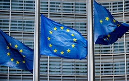 EU dựng ‘lá chắn dân chủ’, yêu cầu Google, Meta gắn nhãn nội dung AI