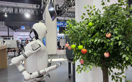 Amazon giội 'gáo nước lạnh' vào cơn sốt robot hình người tại Web Summit