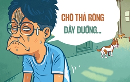 Chó thả rông và nỗi sợ '3 mũi 900 ngàn'