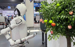 Amazon giội 'gáo nước lạnh' vào cơn sốt robot hình người tại Web Summit