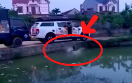 Pha đỗ xe đi vào lòng... ao