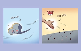 Đinh tặc hãy nhớ câu 'gieo gió ắt gặt bão'