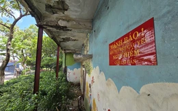 19 chung cư cũ ở TP.HCM được rà soát quy hoạch để mời gọi đầu tư