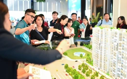 Trong 9 tháng, một khu vực ở TP.HCM có đến 11.000 căn hộ được chào bán