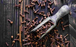 Uống nước đinh hương giúp diệt giun trong đường ruột?