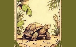 Thử tài tinh mắt: Có bao nhiêu khuôn mặt ẩn giấu trong hình?