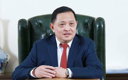 Phát Đạt thâu tóm dự án hơn 5.000 tỉ đồng tại TP.HCM từ Đại Quang Minh