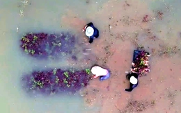 Bình Châu, Hồ Tràm, Đất Đỏ, Châu Đức khẩn trương khắc phục hậu quả do mưa lớn