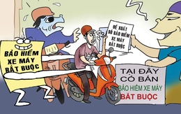 Bảo hiểm xe máy bắt buộc hay tự nguyện?