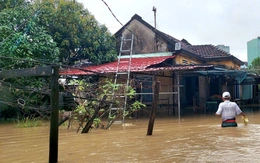 Quy Nhơn ngập lụt, Chủ tịch tỉnh yêu cầu sơ tán dân khỏi nơi nguy hiểm