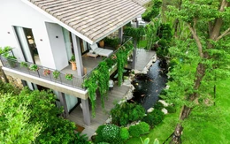 Nhà dưới tán rừng tại Ecopark, xóa nhòa ranh giới tiện nghi và sinh thái