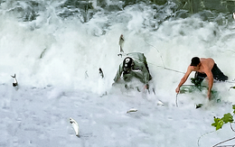 Cá tràn ra hồ Liệt Sơn do nước dâng cao, người dân 'liều mình' đón bắt