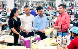 Hội Doanh nhân trẻ Việt Nam sẽ đào tạo 10.000 CEO và chuyển đổi 50.000 hộ kinh doanh