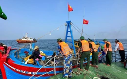 Tàu cá không ghi nhật ký khai thác thủy sản bị phạt tới 700 triệu đồng