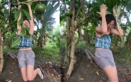 Nhà có cô con gái 'thùy mị nết na'