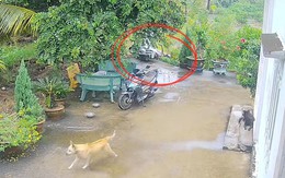 Thanh niên ngã sấp mặt vì sân bê tông trơn