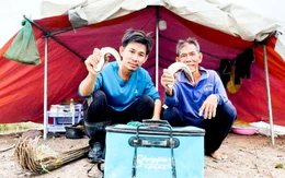 Chạy vỏ lãi băng đồng nước nổi, dân An Giang cắm câu dính cá lóc đồng bự, ú mềm thấy mê