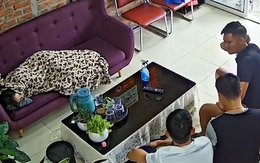 Chủ tiệm khóc thét khi check camera thấy khách ngồi đầy quán ngắm nhân viên đang ngủ