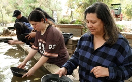 Nhiều người đổ xô tìm vàng tại California khiến cuốc chim, máy dò kim loại cũng... cháy hàng