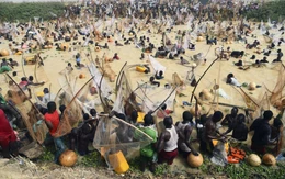 Sự thật về video mô tả đám đông người dân Sudan lao xuống sông để thoát nạn diệt chủng