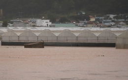 Lâm Đồng đề nghị các thủy điện phối hợp cắt lũ, sơ tán dân vùng hạ du