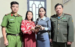 Rùa đất quý hiếm lạc vào khu dân cư, cô gái báo phường để thả về tự nhiên