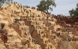 Công dân đào vàng trái phép tại Cộng hòa Trung Phi, Trung Quốc cảnh báo khẩn