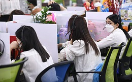 'Chị chị em em' kém vui công sở