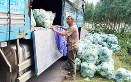 Mưa lũ miền Trung