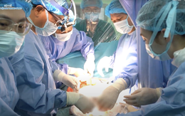 Vượt 2.000km, lá gan hiến tặng từ Cần Thơ hồi sinh bé gái 3 tuổi ở Hà Nội