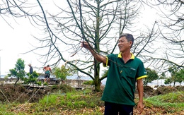 Vì sao triều cường phía Đồng Tháp lớn hơn Cần Thơ?