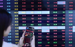 Con trai sếp REE muốn bán bớt cổ phần, động thái mới của Chủ tịch Nam Long với quyền mua cổ phiếu